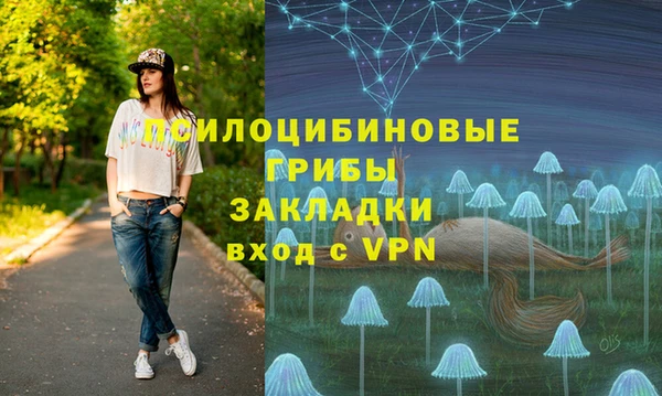 мдпв Елизово