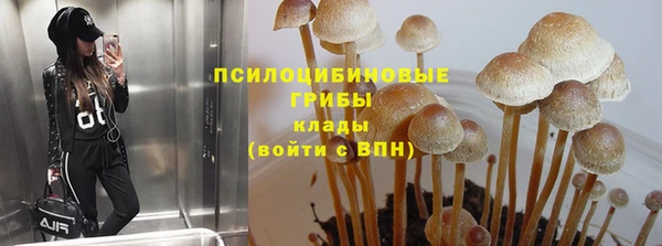 дурь Ельня
