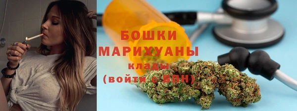 прущие грибы Елабуга
