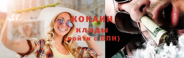 прущие грибы Елабуга