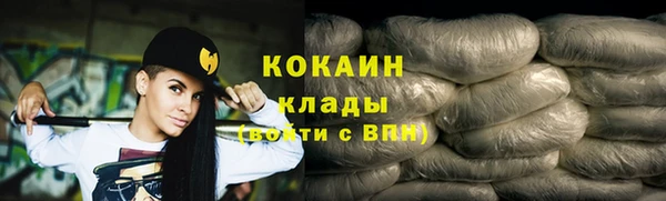 мдпв Елизово