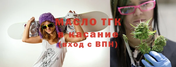дурь Ельня