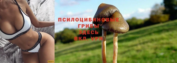 мдпв Елизово