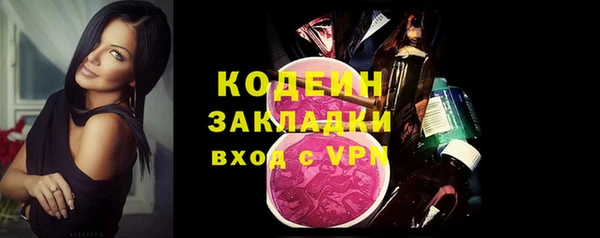 прущие грибы Елабуга