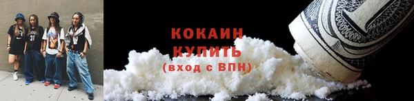 мдпв Елизово