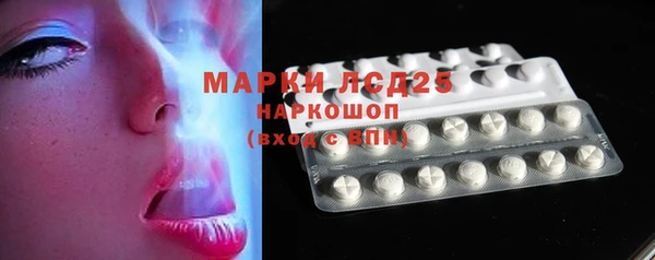 прущие грибы Елабуга