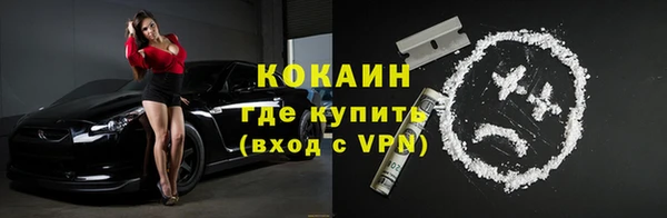 дурь Ельня