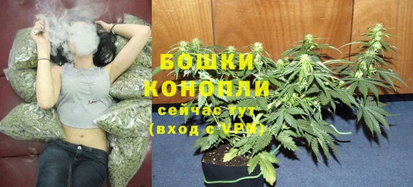 мдпв Елизово