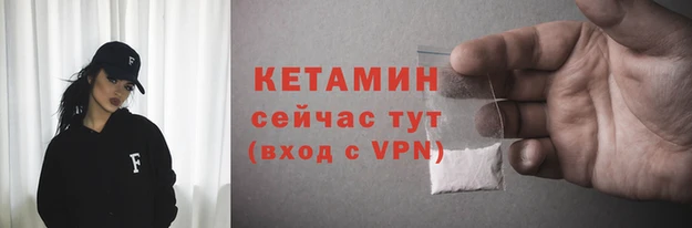 прущие грибы Елабуга