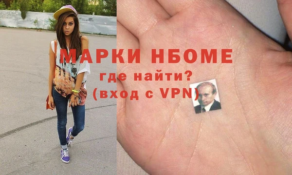 прущие грибы Елабуга