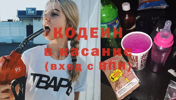 мдпв Елизово
