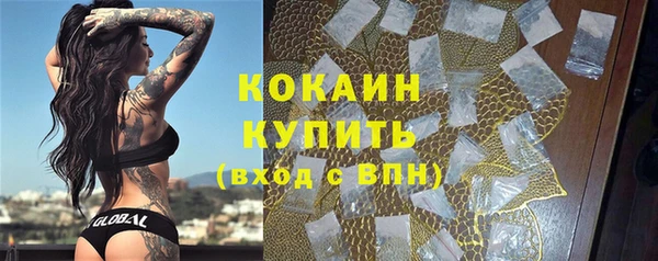 мдпв Елизово