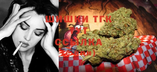прущие грибы Елабуга