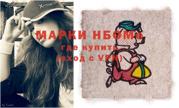 прущие грибы Елабуга