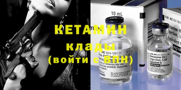 прущие грибы Елабуга