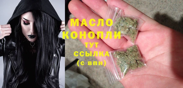 прущие грибы Елабуга