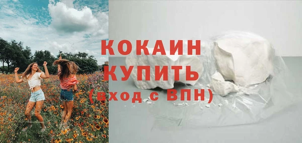 мдпв Елизово