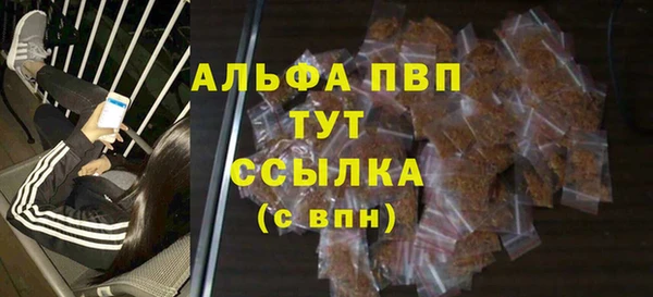 прущие грибы Елабуга