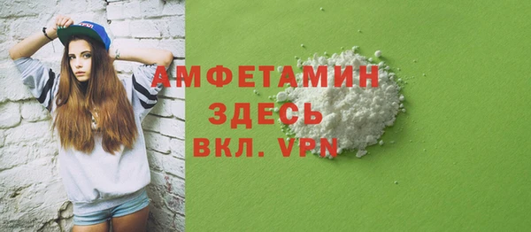 дурь Ельня